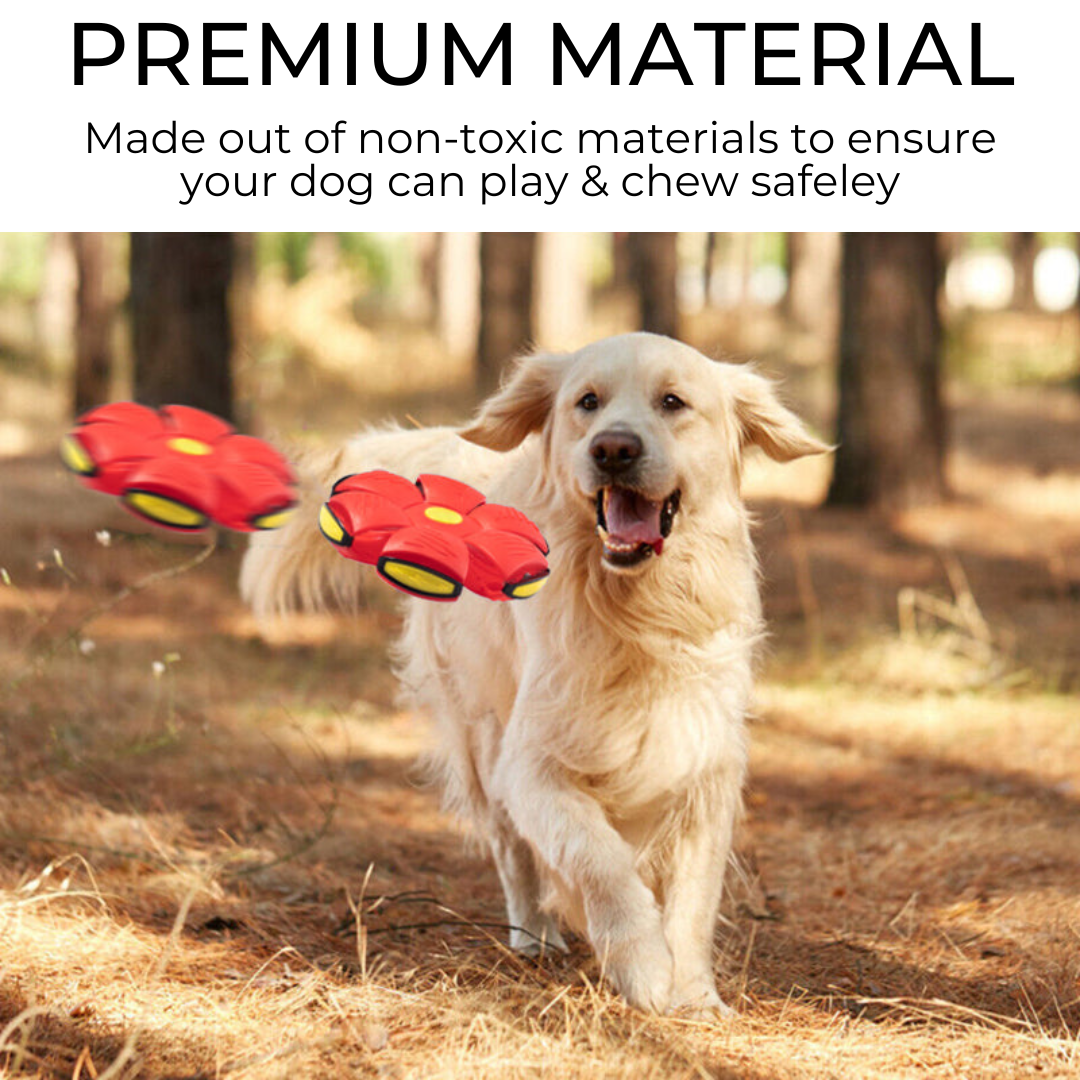 Dog Frisbee flexible durable pet toy